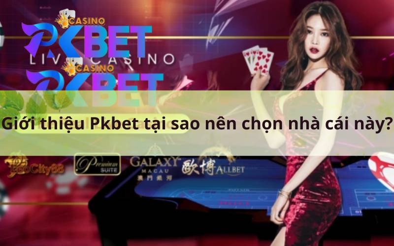 Giới thiệu Pkbet tại sao nên chọn nhà cái này?