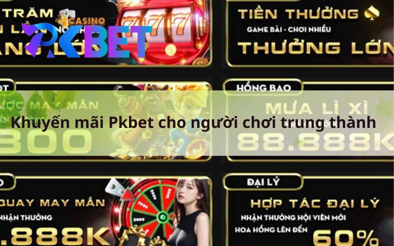 Khuyến mãi Pkbet cho người chơi trung thành