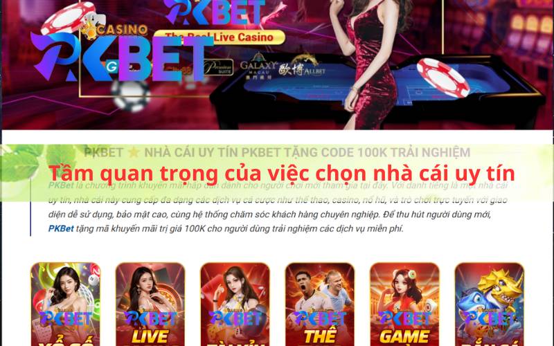 Tầm quan trọng của việc chọn nhà cái uy tín