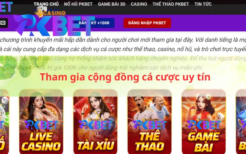 Tham gia cộng đồng cá cược uy tín