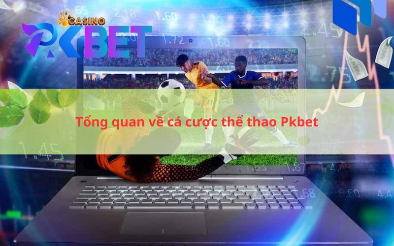 Tổng quan về cá cược thể thao Pkbet