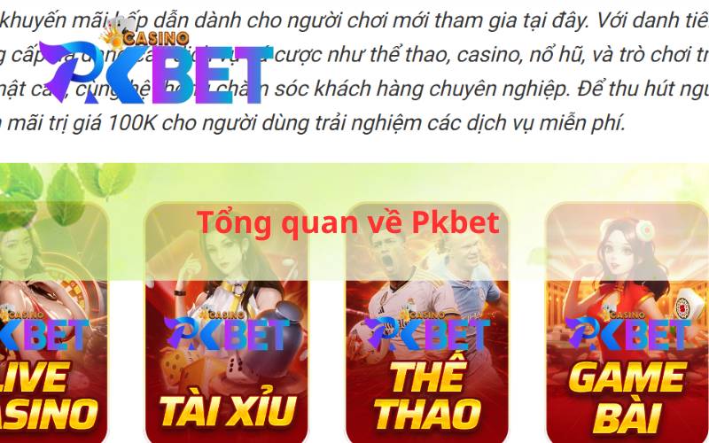 Tổng quan về Pkbet